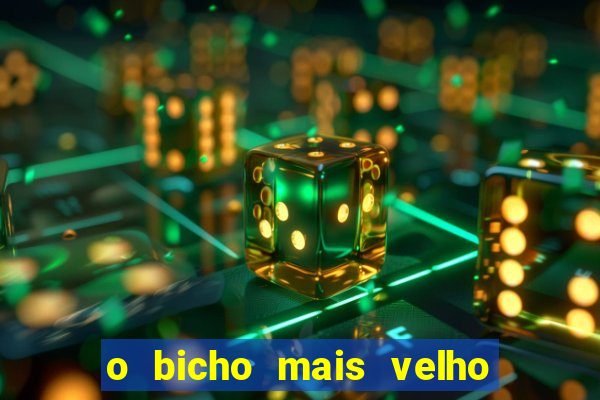 o bicho mais velho da loteria dos sonhos